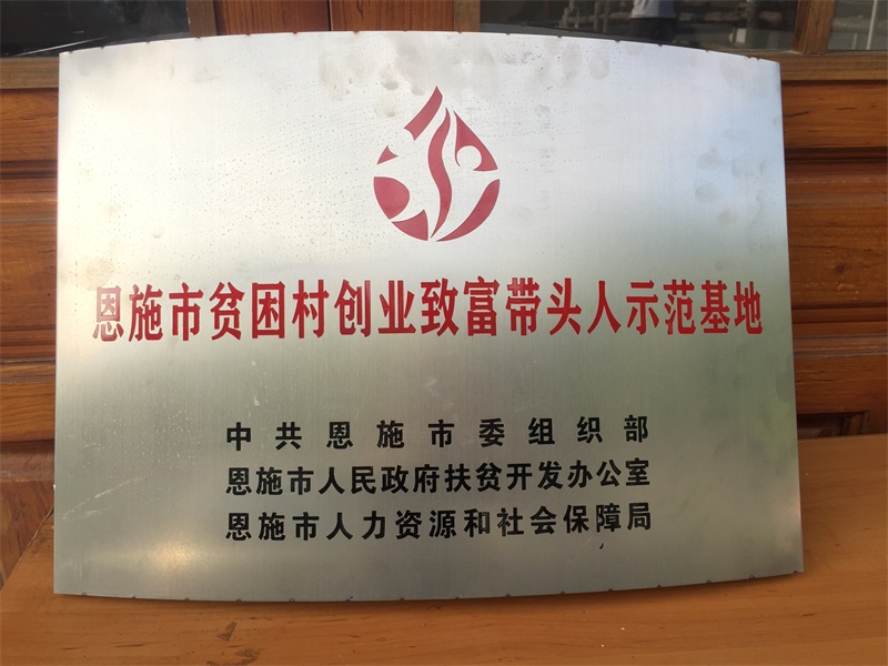 9-恩施市貧困村創(chuàng  )業(yè)致富帶頭人示范基地.jpg